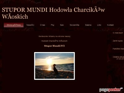 Szczegóły : stupormundi.pl - Charciki Włoskie