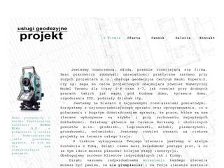 Szczegóły : usługi geodezyjne - projekt
