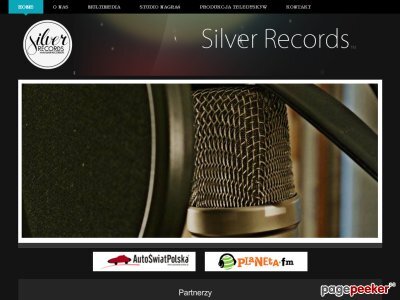Szczegóły : Silver Records - produkcja reklam